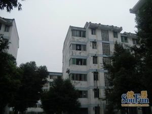 金卉苑 3室2厅 东南