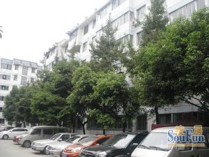 金卉苑3室2厅东