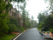 童家溪 中安长岛一区六房330万