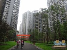 巴国城中交品质四房 业主诚心出售 看房方便 拎包住