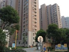 御桥站低总价电梯三房,中间楼层采光好,看房随时