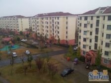 江桥·金鹤新城金霞苑·1室·1厅