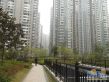 湘江世纪城星江苑实景图