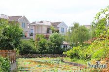 七宝·南国花园·3室·2厅