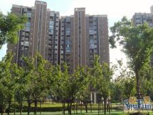 新上3房+南北通+采光无遮挡+飞机户型+业主诚意