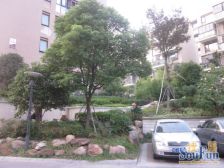 经典户型,难得出一套好房。洋房