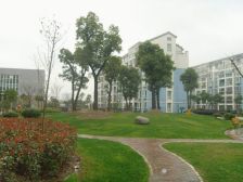 近江桥,适合一家两口的温馨舒适小家