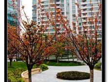 香梅花园一期3室南朝向1650.00万元/套出售