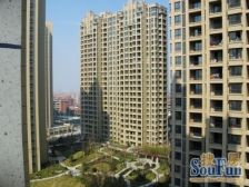 保利叶上海(二期) 3室2厅 南 北