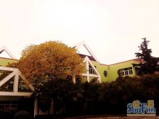 高区电梯大复式+视野一览无余+看房方便