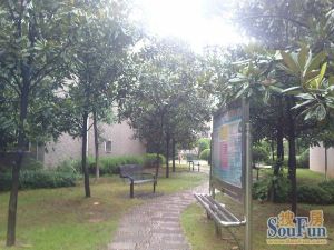 雨花区政府公务员小区步梯加装电梯低公摊南北通透
