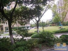韩国街高品质小区,板式3房高得房率,精装修看房方便已做备案