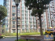 经典双南厅大带阳台视野好户型好位置佳