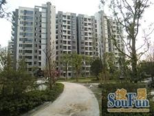 浦江智汇园I2+1户型I10年电梯商品房I全南户型I看房方便