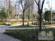 浦锦街道+8号线联航路+电梯高区全明户型+自住装修