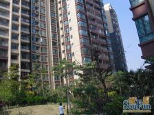 长安花园 2室2厅 南 西