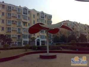 精装送阁楼,近8号线江月路地铁站,复旦五官科和仁济