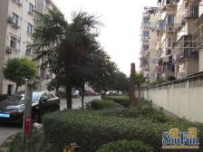 随时看房,无抵押,产权清晰,新上房源