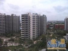 10年商品房电梯中区南北通2+1户型采光视野好业主诚心.