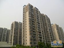 无抵押,中间楼层 电梯房,新上房源