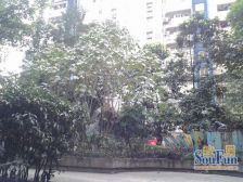 朝阳逸景2室1厅西南