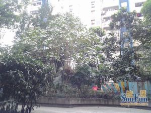 朝阳逸景2室1厅西南
