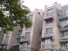 小区正规边套+全明户型+纯毛坯+