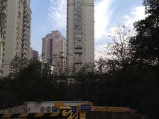 路易凯旋宫1室2厅1卫南朝向760.00万元/套出售