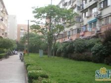 莘松三村 1室1厅 南 北