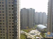 三林·金谊河畔·河畔三房 楼层也不错 小区环境棒棒哒