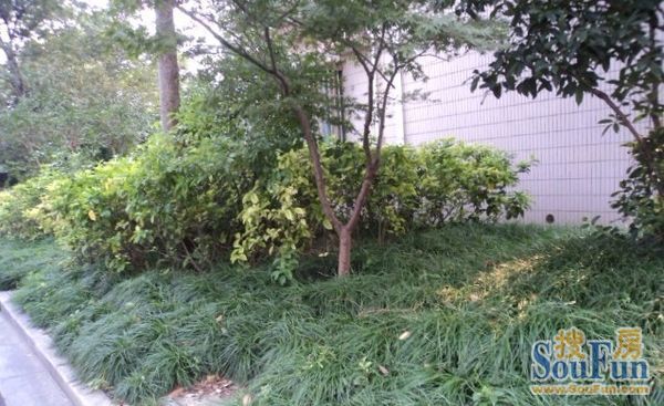 团结花苑实景图