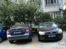 电梯中间楼层,满五税费少,诚意卖,采光佳