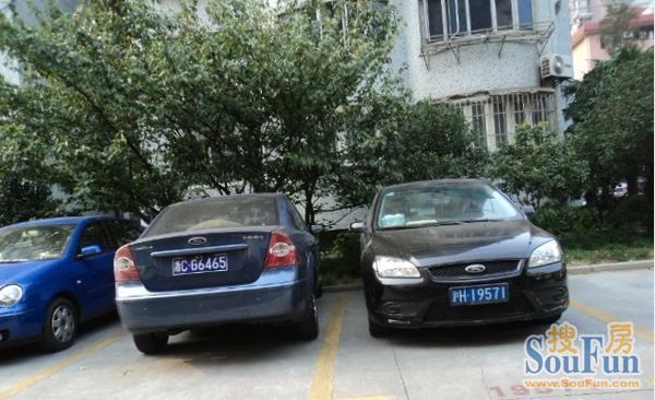 团结花苑实景图