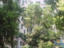 莘庄公园小三房 太屋好房 只给我卖