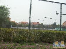 独栋大宅 领包入住 诚意急售 私家花园 生活便利