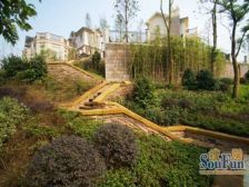 庄园独栋,半山视野,间距宽,花园800平,使用1000平