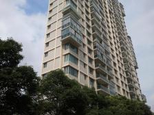 九龙仓开发+高力物业+交大10号线+07年竣工