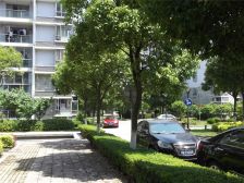 绝对城市2室2厅1卫南朝向530.00万元/套出售