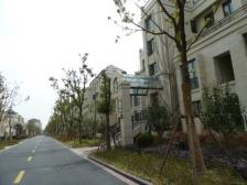 中叠大平层 有南北大露台 店总直推!!!!