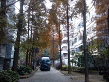 诚售东环地鉄口东环新村,中间楼层,看房方便,采光无遮挡