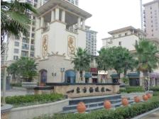 东方帕堤欧花园小城3室南朝向350.00万元/套出售