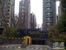 满5唯1,电梯高区,采光好,视野好