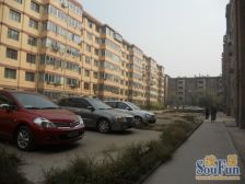 陶海市场 繁华地段 紧凑室2 室 全天采光