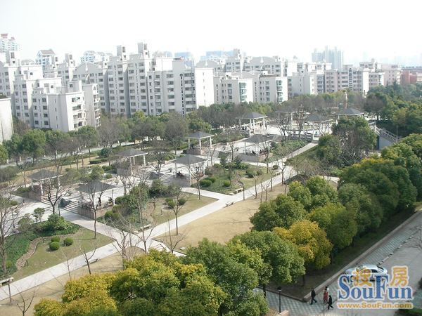 实景图