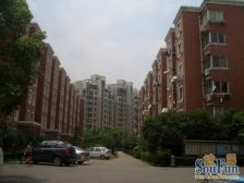 兰花教师公寓 楼层好 大三房 位置好 诚意卖