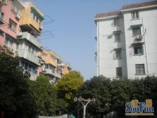 曹杨花苑 2室1厅 南 北