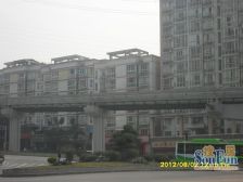 鱼洞 一城龙洲三房40万