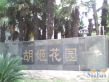 胡姬花园实景图