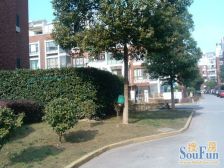 美兰湖畔雅苑4室南朝向520.00万元/套出售