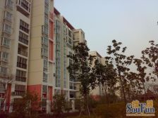 阁楼+露台,露台已搭好,南北通户型,采光视野无遮挡